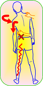 KEMP自分でできる腰椎椎間板ヘルニア検査。福岡 太宰府【腰痛専門】こしの鍼灸整骨院､ぎっくり腰