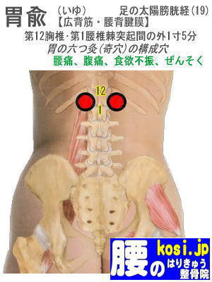 胃兪、ぎっくり腰【腰痛専門】腰のはりきゅう整骨院、福岡太宰府